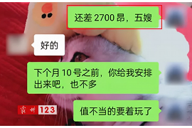 海东遇到恶意拖欠？专业追讨公司帮您解决烦恼